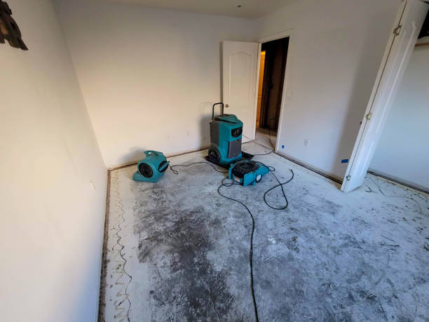 Local water damage restoration in Clemson, SC